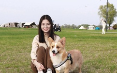 广场舞廖弟专辑